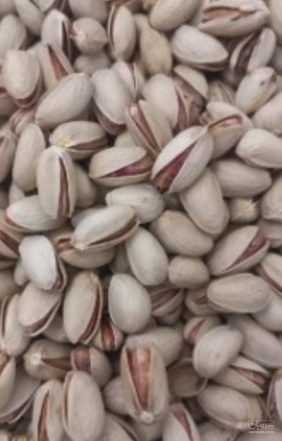 فروش پسته