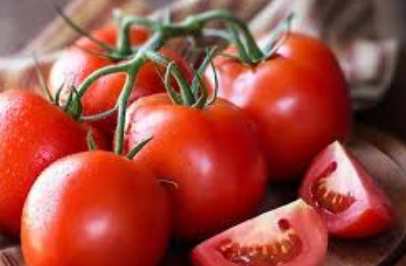 فروش گوجه فرنگی