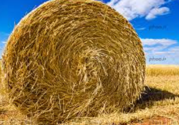فروش یونجه