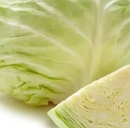 فروش کلم برگی سفید