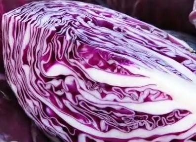 فروش کلم برگی بنفش