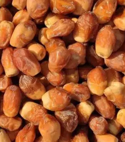 فروش خرما قصب