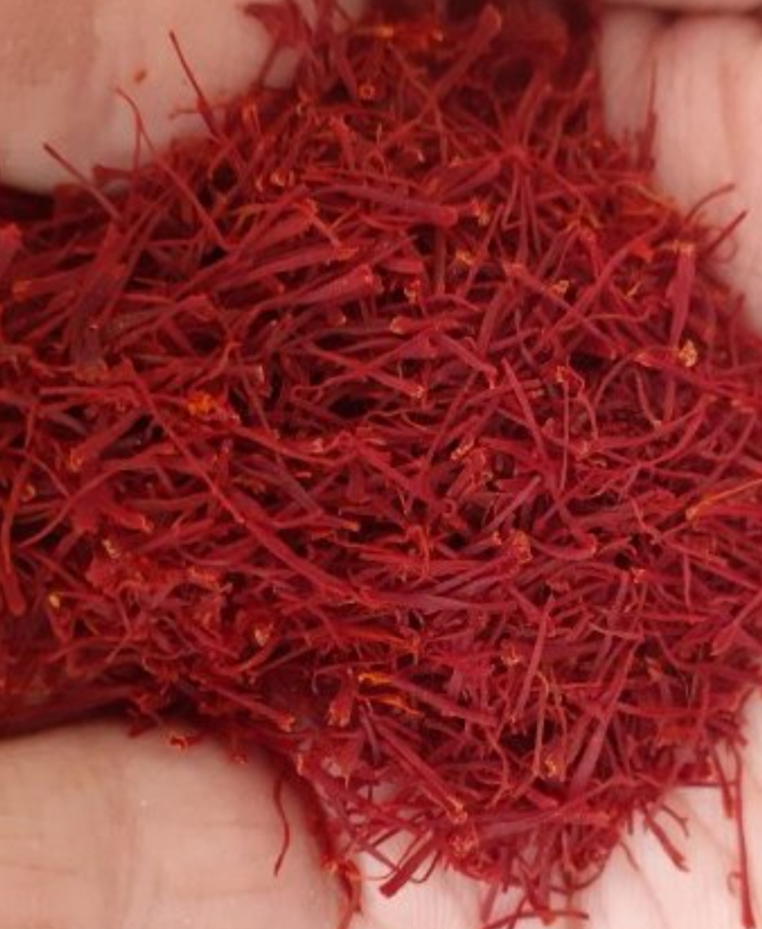 فروش زعفران (گیاه‌ دارویی)