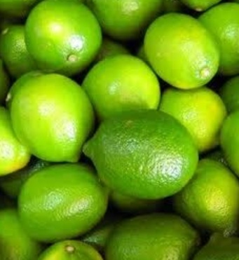 فروش لیمو ترش موهیتو