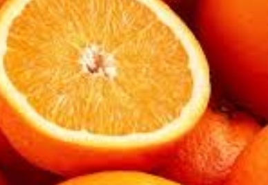 فروش پرتقال