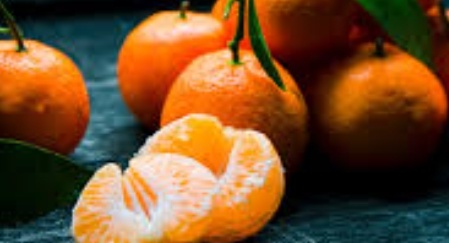 فروش نارنگی