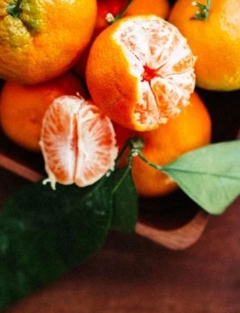 فروش نارنگی