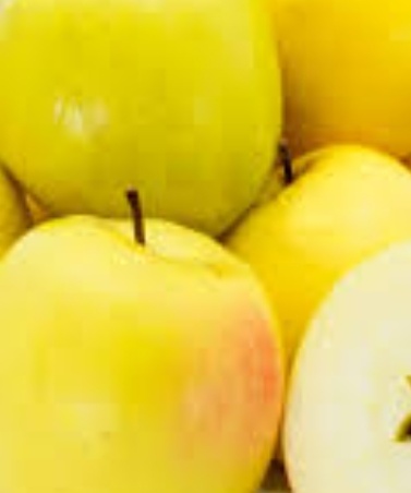 فروش سیب زرد