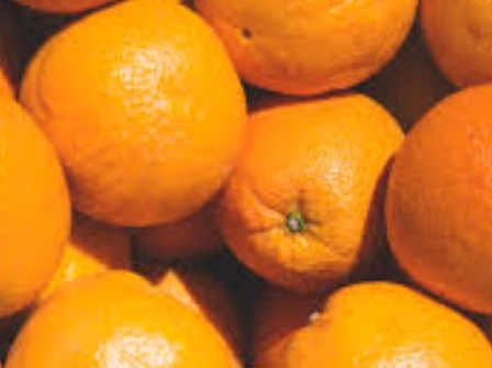 فروش پرتقال