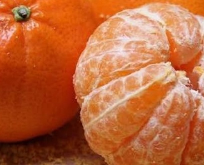 فروش نارنگی