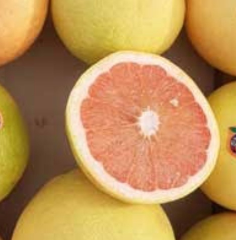 فروش گریپ فوروت