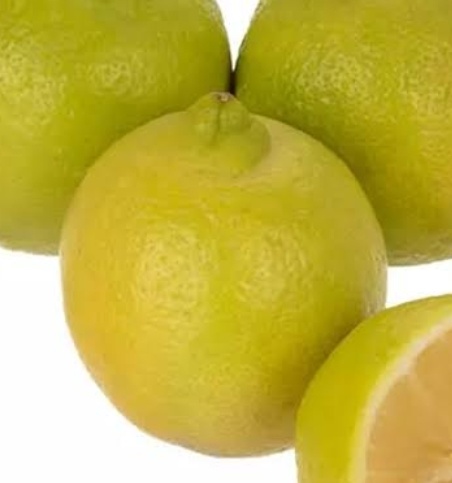فروش لیمو ترش