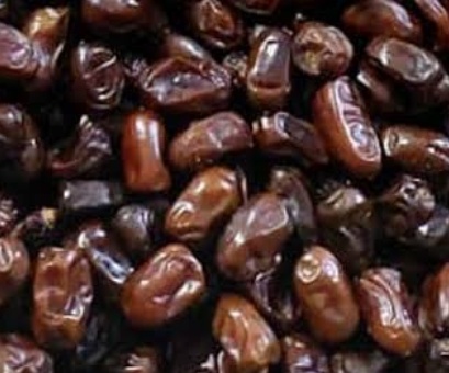 فروش خرما کلوته