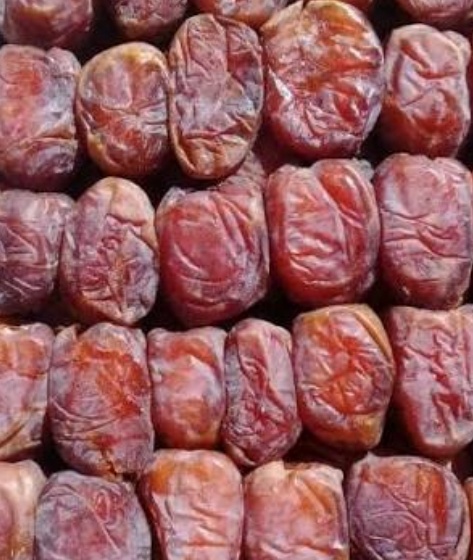 فروش خرما مردا سنگ