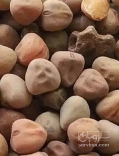فروش خلر - جلبان