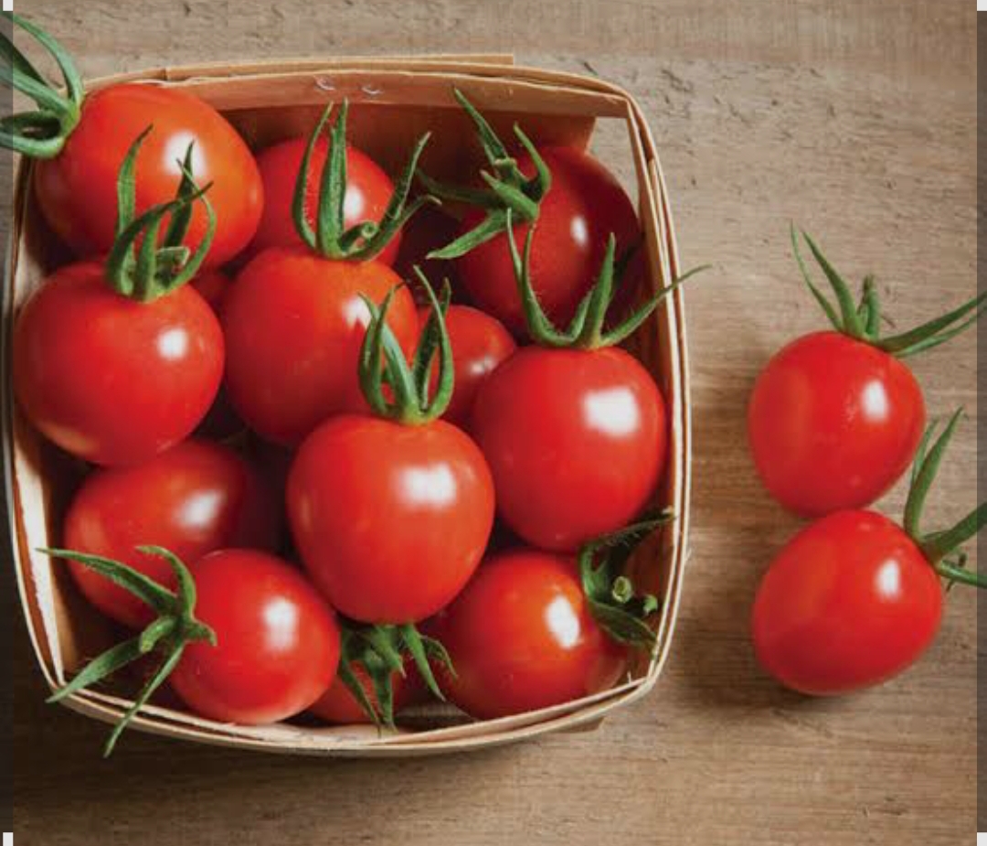 فروش گوجه فرنگی گزد
