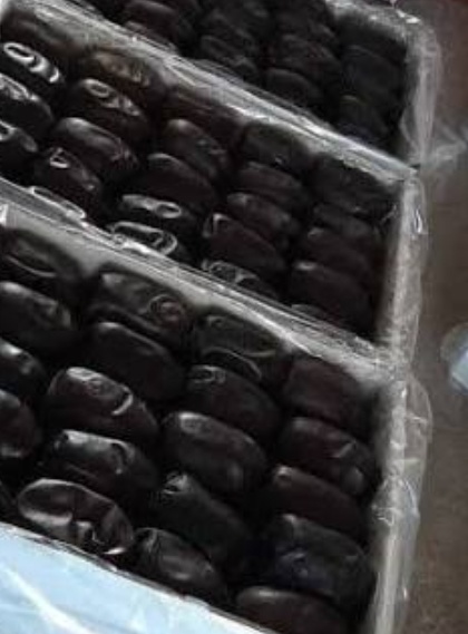 فروش خرما مضافتی