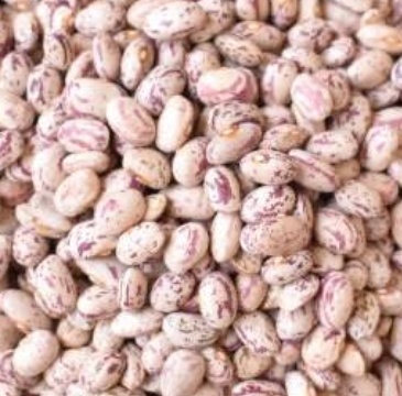 فروش لوبیا چیتی