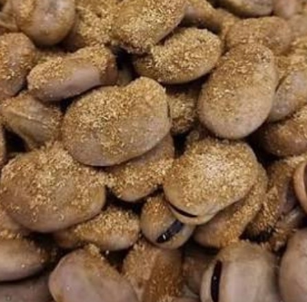 فروش باقلا تازه - باقالی - باقالا