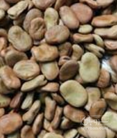 فروش باقلا خشک خوراک دام