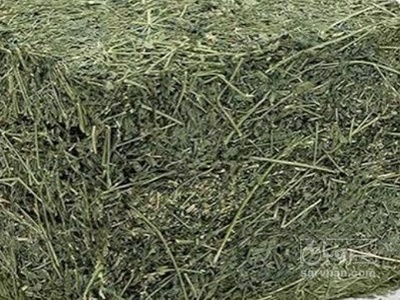 فروش یونجه