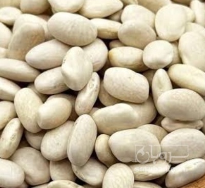 فروش لوبیا سفید