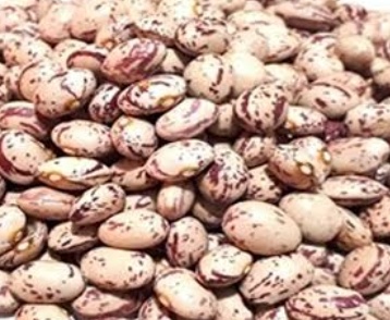 فروش لوبیا چیتی