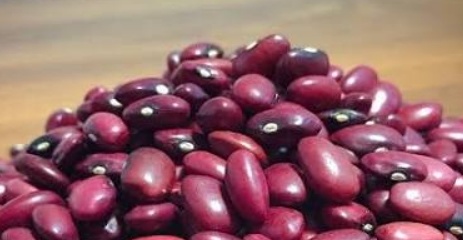 فروش لوبیا قرمز