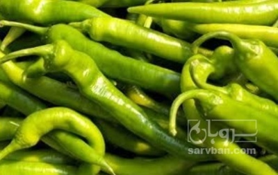 فروش فلفل شمشیری