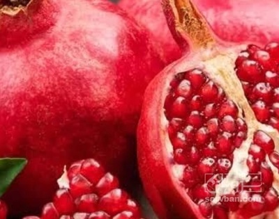 فروش انار