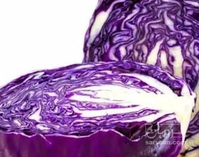 فروش کلم برگی بنفش
