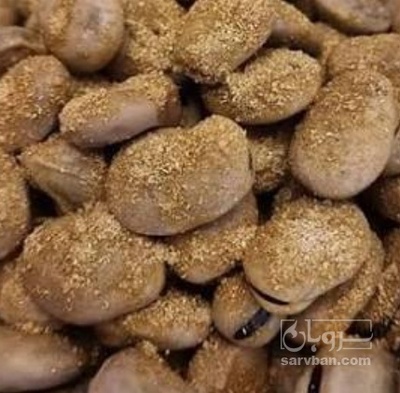 فروش باقلا تازه - باقالی - باقالا