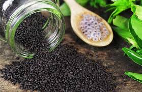 فروش تخم شربتی