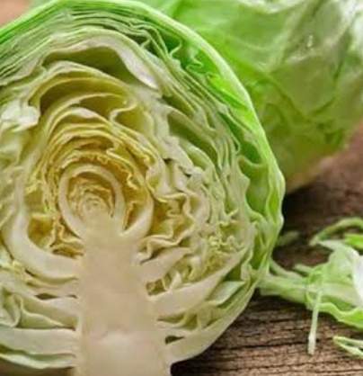 فروش کلم برگی سفید