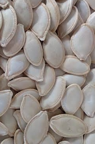 فروش تخمه  کدو بو داده