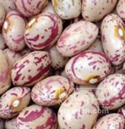 فروش لوبیا چیتی