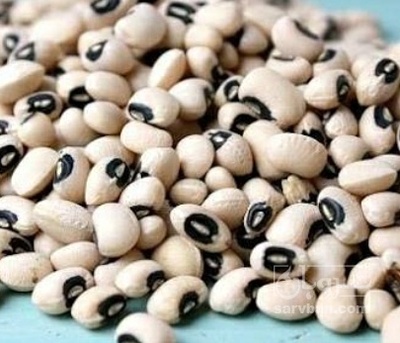 فروش لوبیا چشم بلبلی
