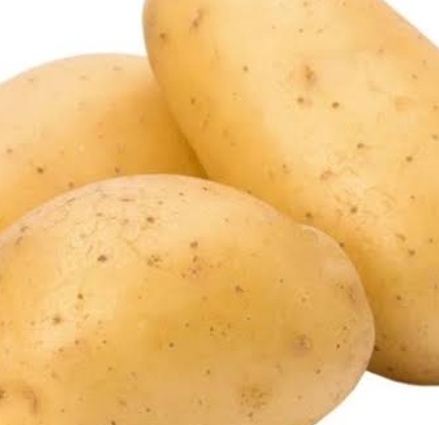 فروش سیب زمینی اگریا