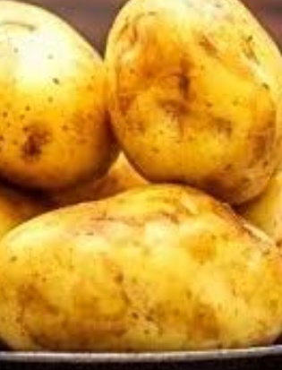 فروش سیب زمینی دوناتا