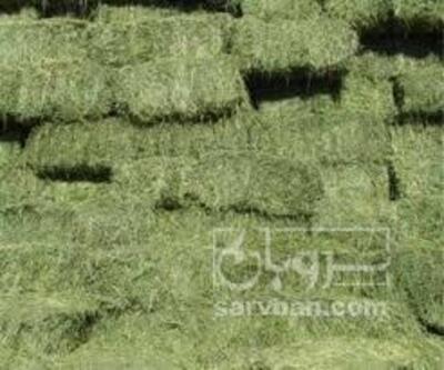 فروش یونجه