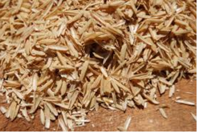 فروش شلتوک برنج