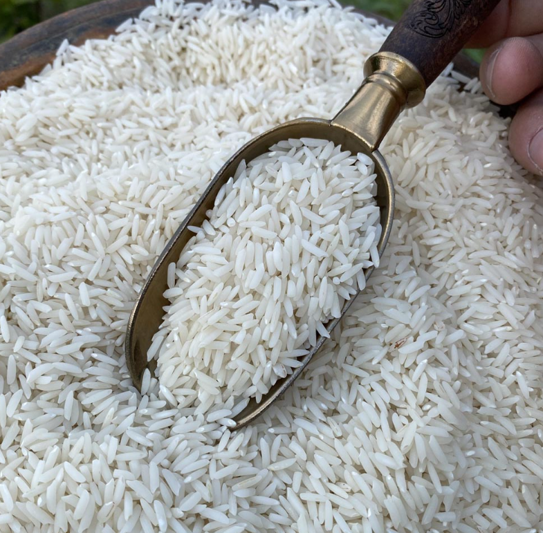 فروش برنج کمپا