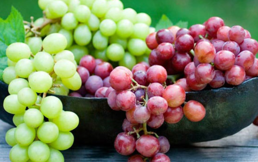 فروش انگور