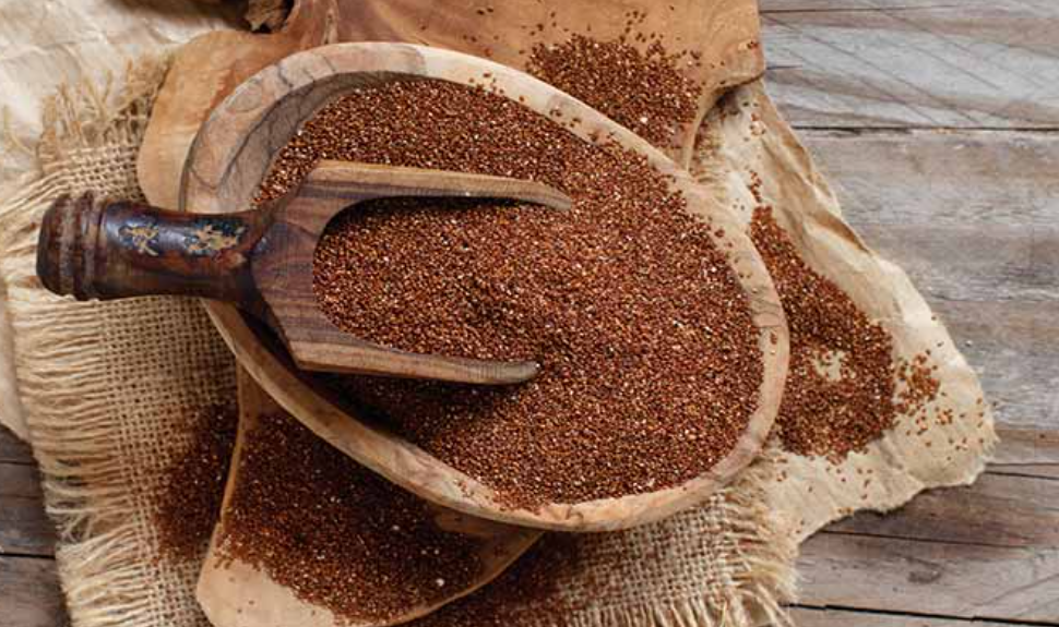 فروش خاکشیر (گیاه‌ دارویی)