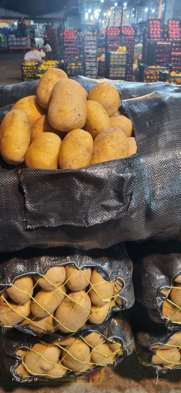 فروش سیب زمینی آگریا