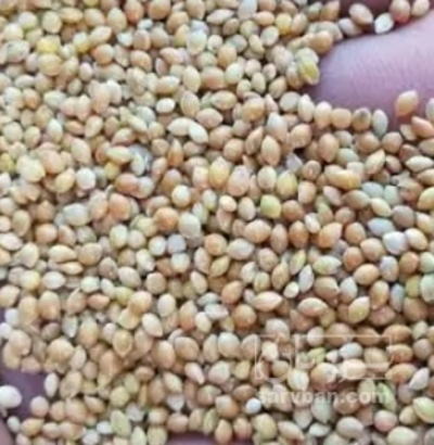 فروش ارزن