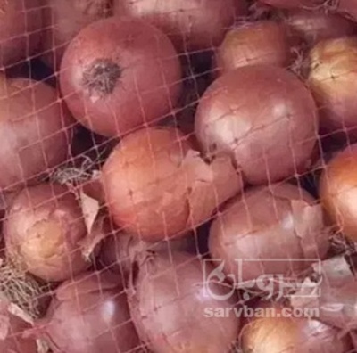 فروش پیاز
