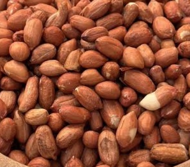 فروش بادام زمینی بی قلاف