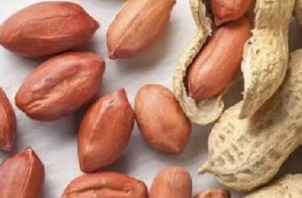 فروش بادام زمینی کره گیری