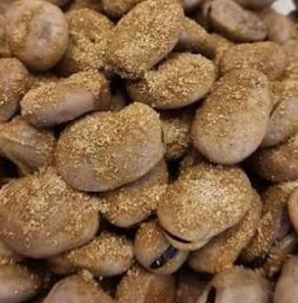 فروش باقلا تازه - باقالی - باقالا